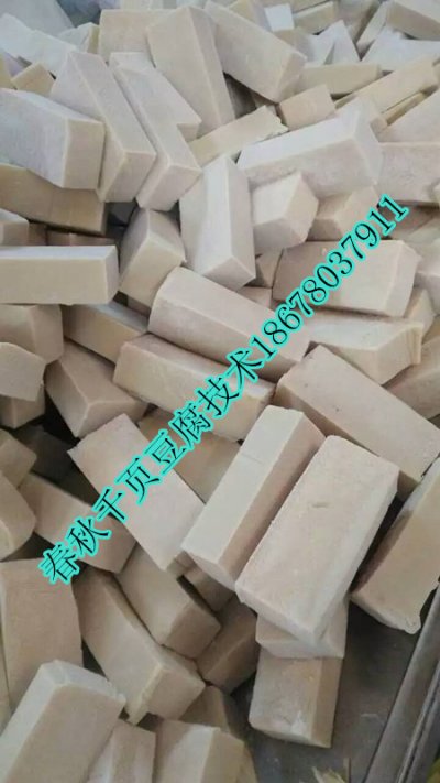 千页豆腐真空抽浆机千页豆腐去泡机春秋免费技